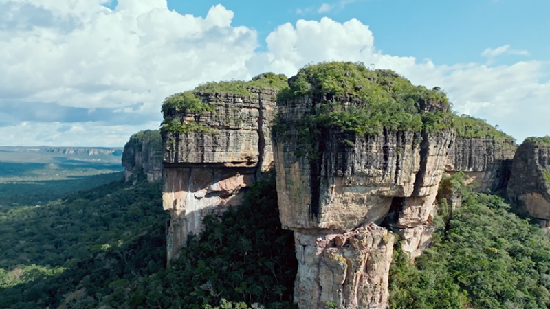 Amazonie8.png