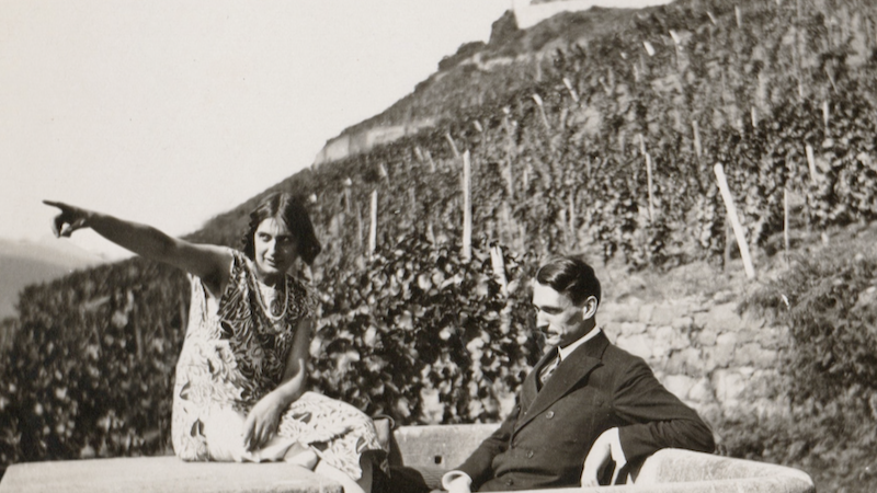 Haidi-vignoble1.png