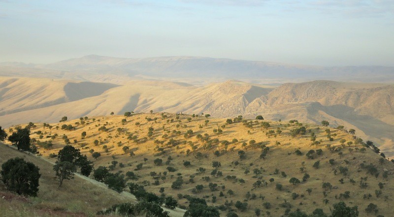 MESOPO5.jpg