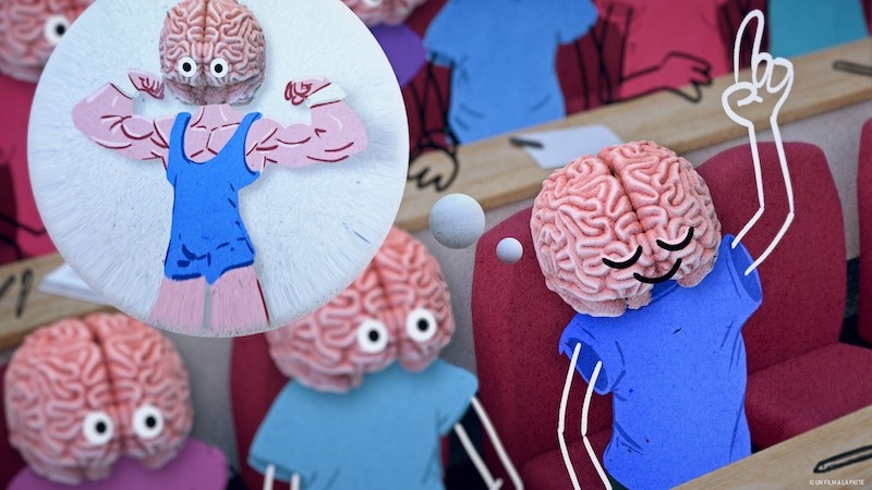 MON-CERVEAU-FAIT-L_AUTRUCHE5.jpg